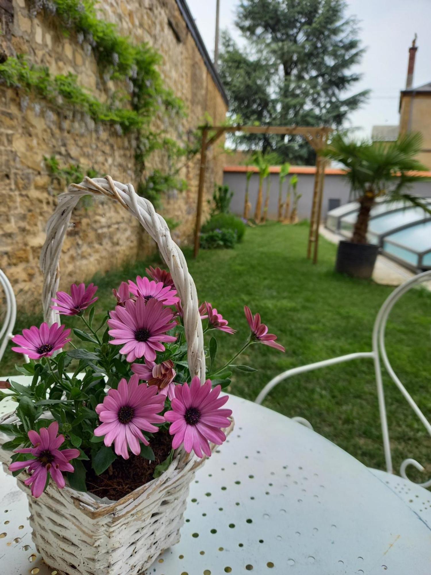 Appartement, 2Eme Etage Avec Piscine Partagee Sedan Esterno foto